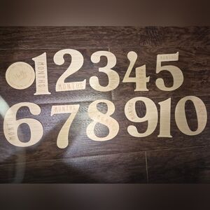 Wooden Monthly Milestone Numbers